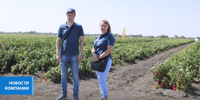 Сотрудники «2РС» посетили День поля «Волгоградский овощевод»